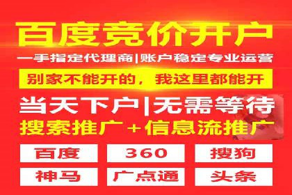 SEM推广公司案例：助力企业实现品牌价值提升