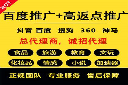 SEM专员实战案例解析